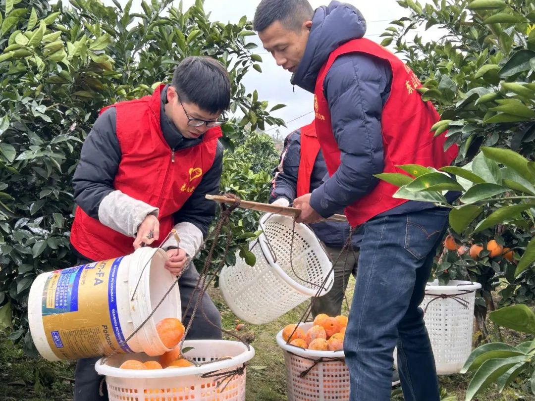 1703813043453684.png 圖片1.png